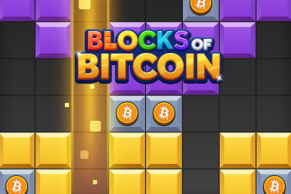 Blocks of Bitcoin 